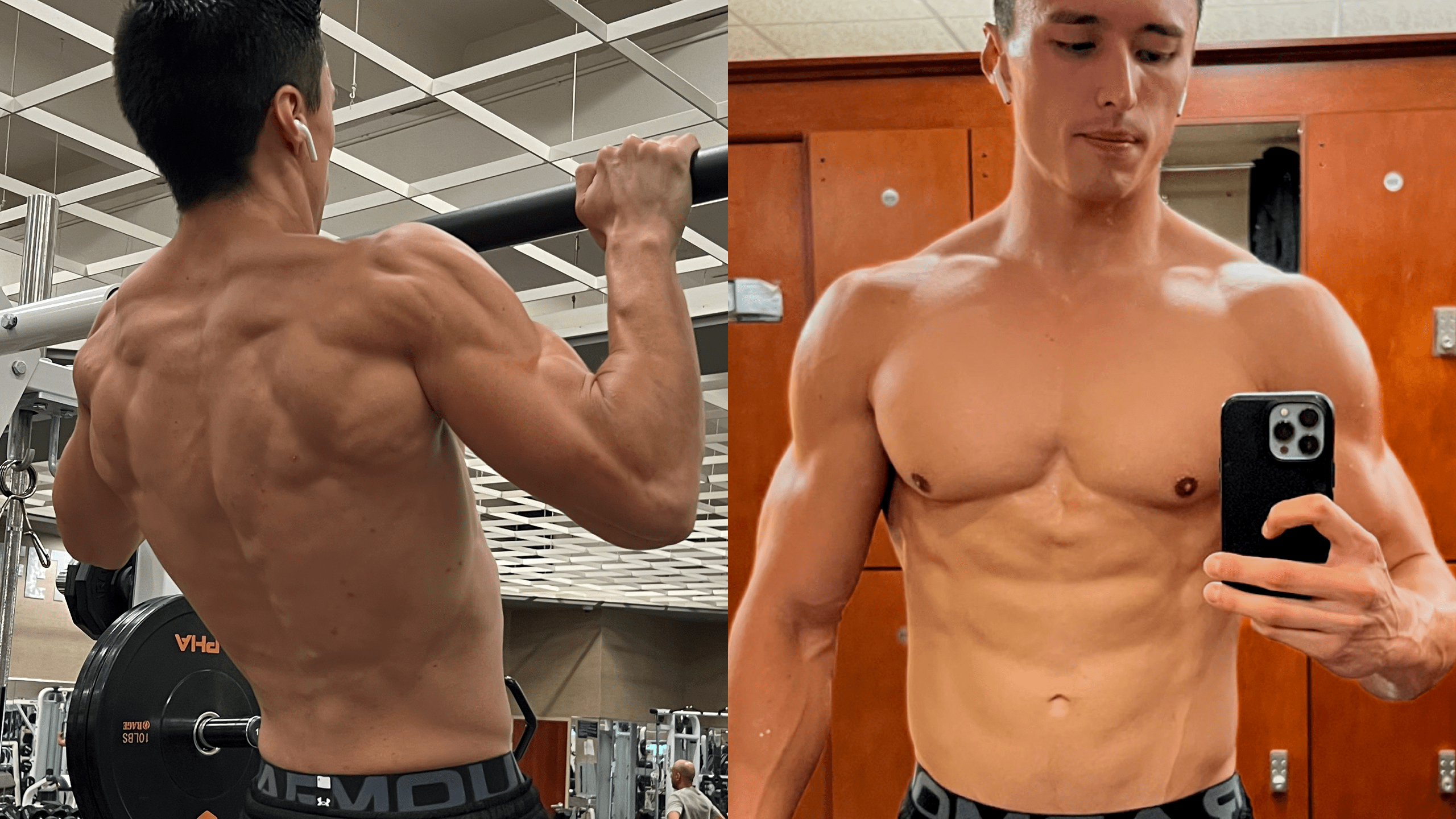 calisthenics for beginners