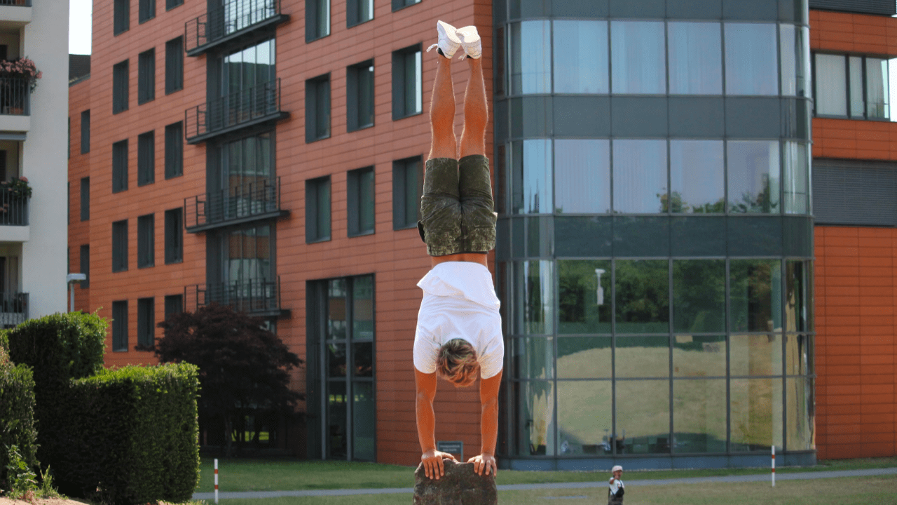 4 Reasons Why You Need Calisthenics!