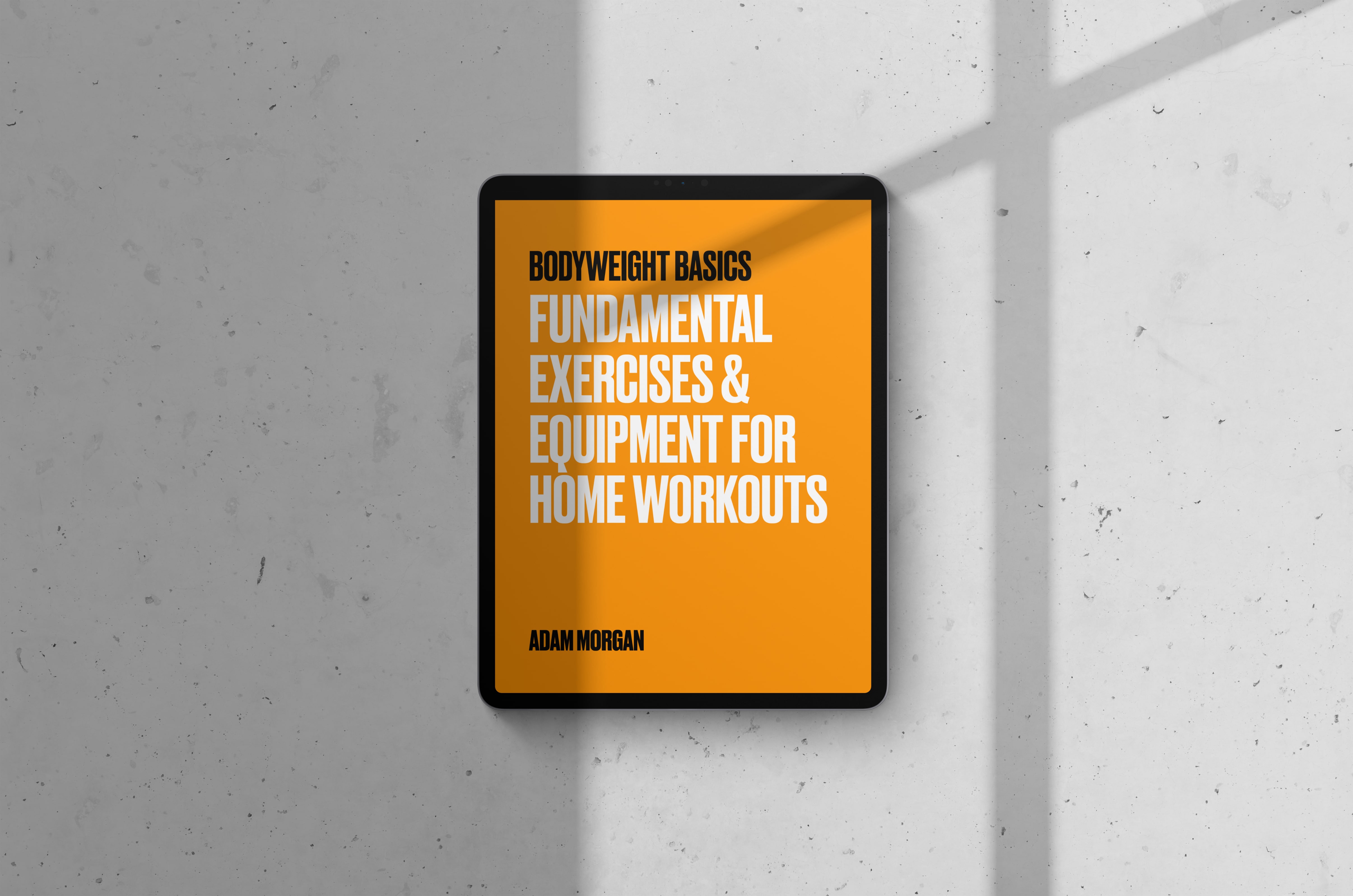Bodyweight Basics